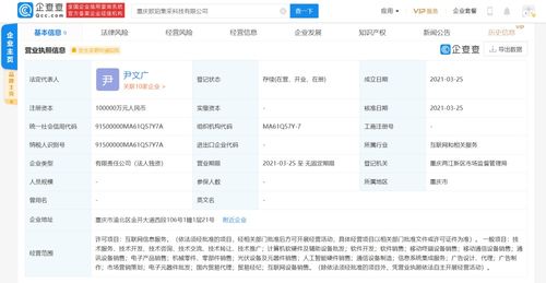互联网设备销售 机遇、挑战与未来展望