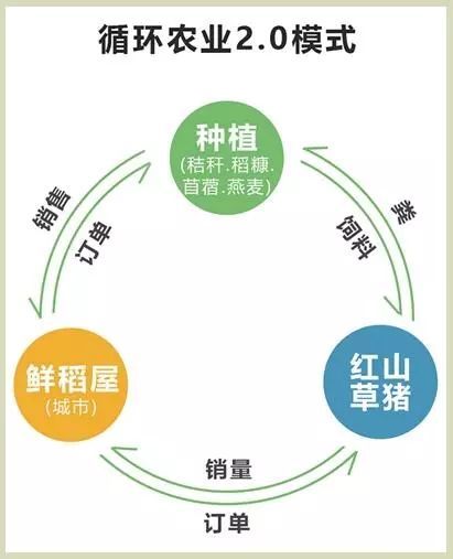 亿利新中农 有机沙米绿了沙漠，生态草猪富了百姓，互联网设备销售赋能产业升级